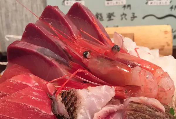 酒菜工房 だいの写真・動画_image_319611