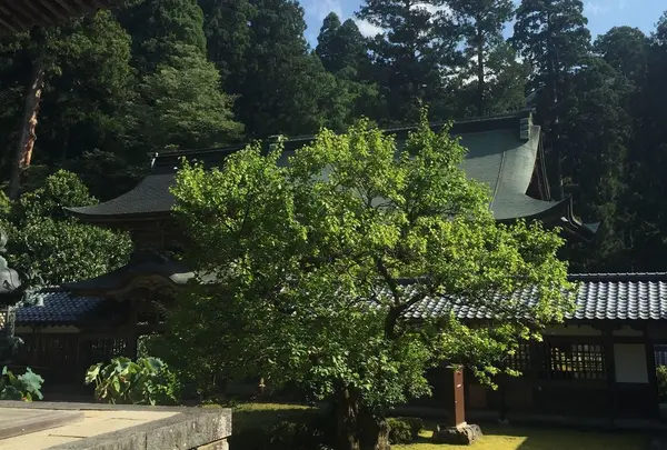 永平寺