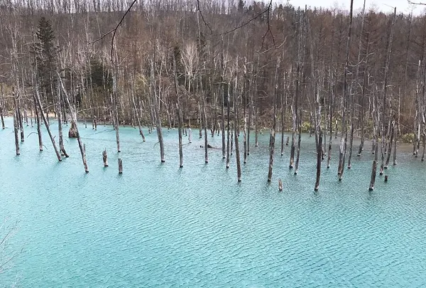 青い池