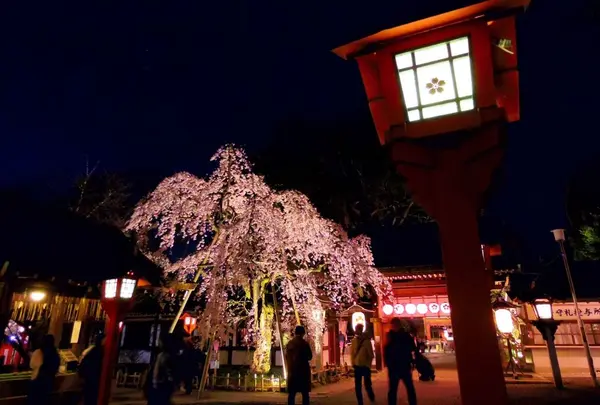 平野神社