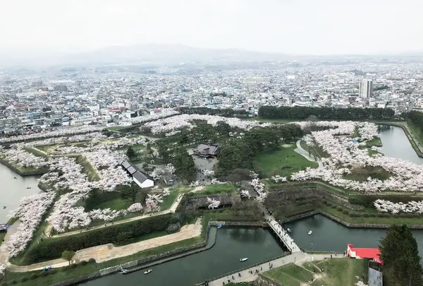 五稜郭公園