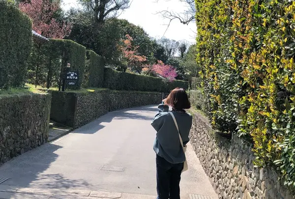 知覧武家屋敷庭園群の写真・動画_image_321277