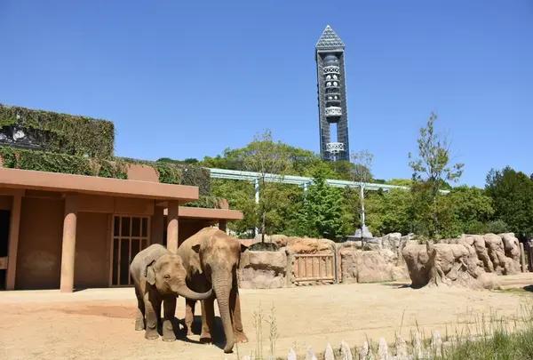 東山動物園