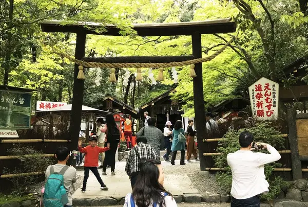 野々宮神社の写真・動画_image_321352