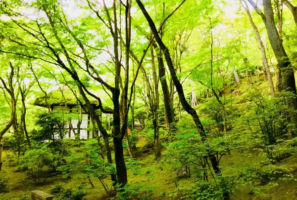 常寂光寺