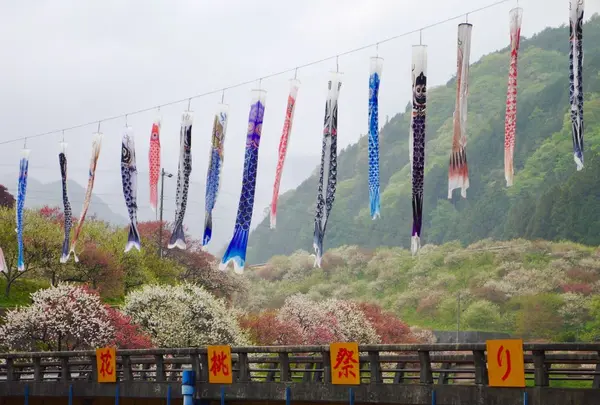 月川の写真・動画_image_321576