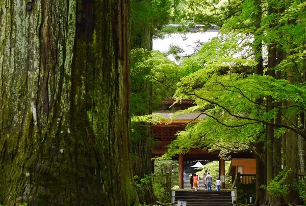 光前寺の写真・動画_image_321593