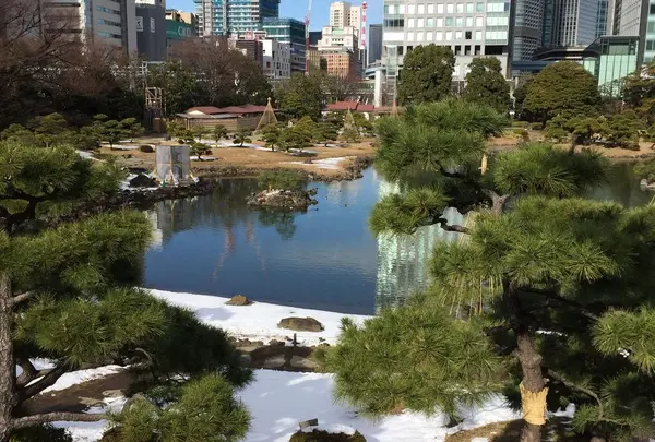 浜離宮恩賜庭園の写真・動画_image_322216