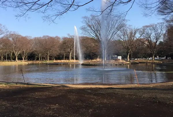 代々木公園の写真・動画_image_322218