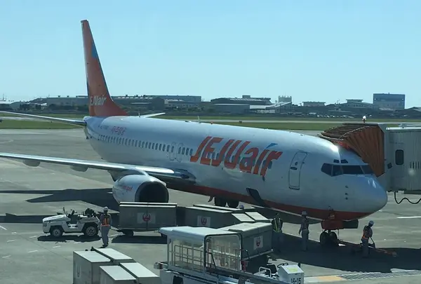 Jeju Airの写真・動画_image_322442