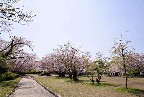 舞鶴公園