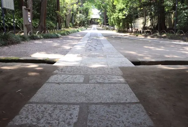 寿福寺の写真・動画_image_322804