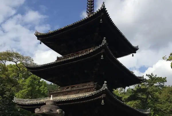 石手寺の写真・動画_image_323077