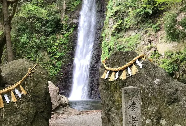 養老の滝
