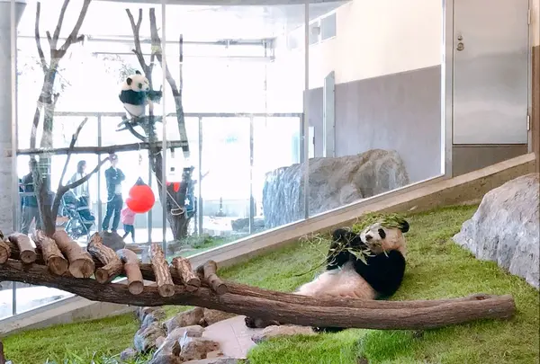 アドベンチャーワールド