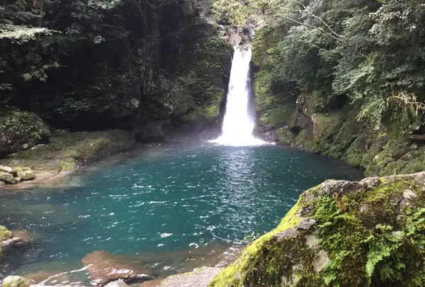 仁淀川の写真・動画_image_323902