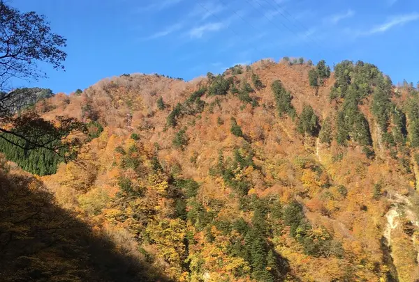 黒部峡谷鉄道の写真・動画_image_324029