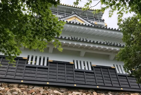 岐阜城の写真・動画_image_324293