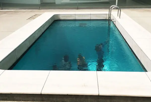 金沢21世紀美術館の写真・動画_image_325436