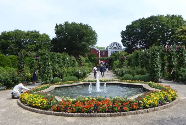 港の見える丘公園の写真・動画_image_326014