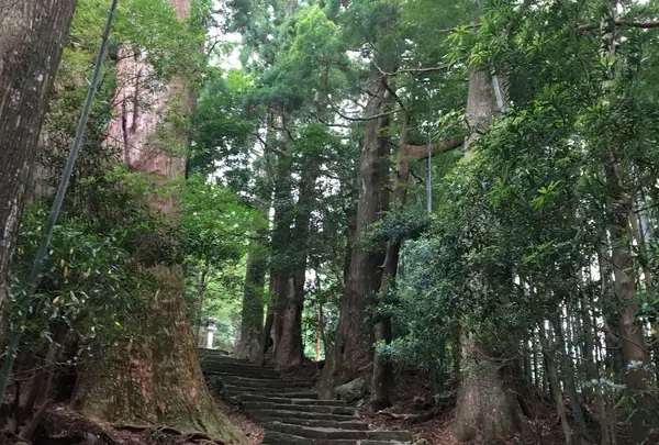 那智の滝の写真・動画_image_326072