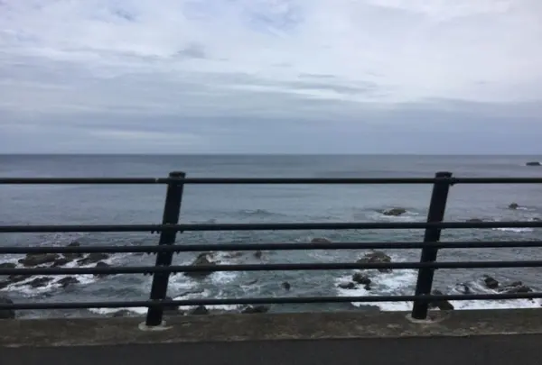 今治市の写真・動画_image_326347