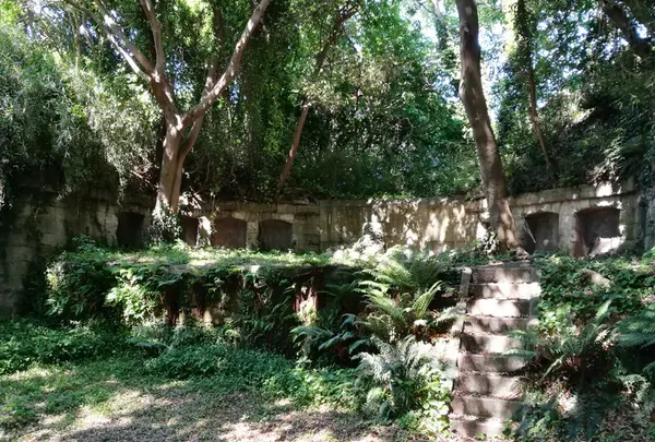 観音崎公園の写真・動画_image_326722