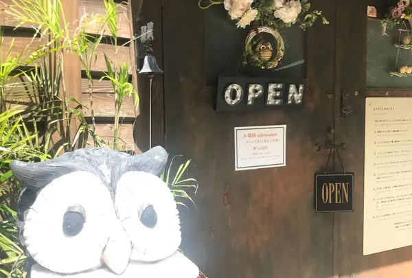 ぬくもりの森