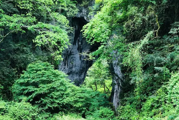 羅生門
