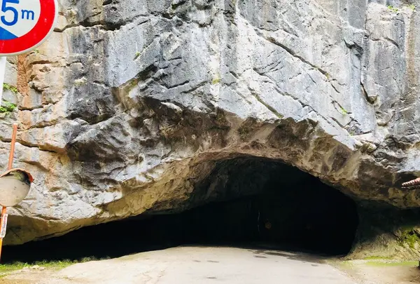 羽山渓の写真・動画_image_328841