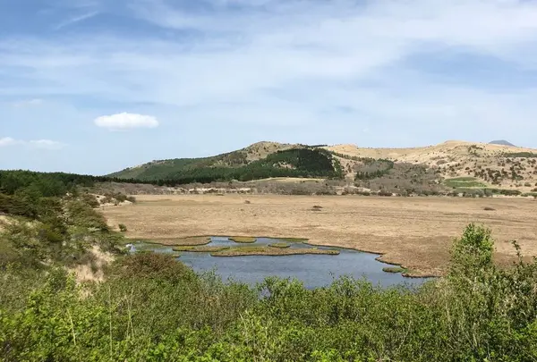 八島ヶ原湿原