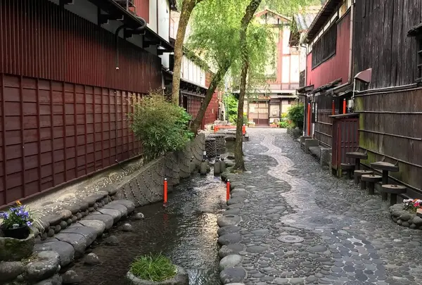 やなか水のこみちの写真・動画_image_328990
