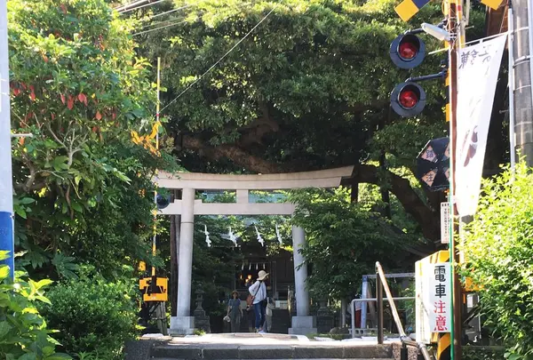 御霊神社の写真・動画_image_329934