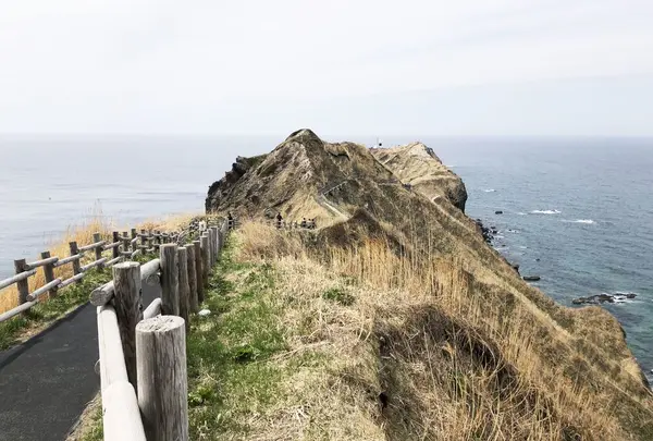 神威岬の写真・動画_image_330510