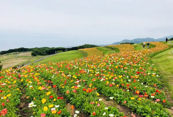あわじ花さじき