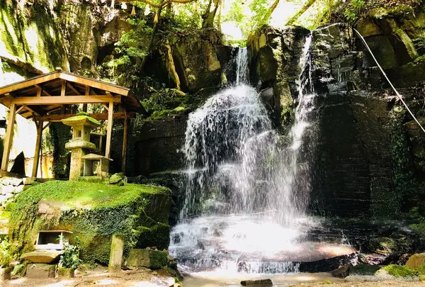 青葉の寺の写真・動画_image_330791