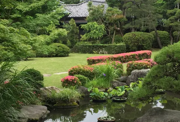 題経寺（柴又帝釈天）
