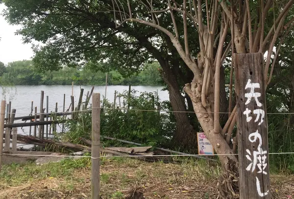 矢切の渡し