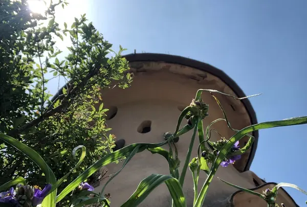 あけぼの子どもの森公園