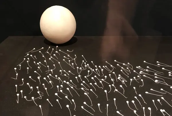 国立科学博物館の写真・動画_image_331794