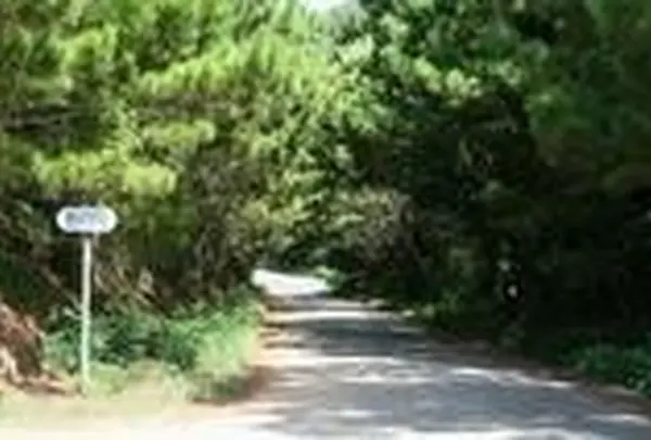 おばけ坂