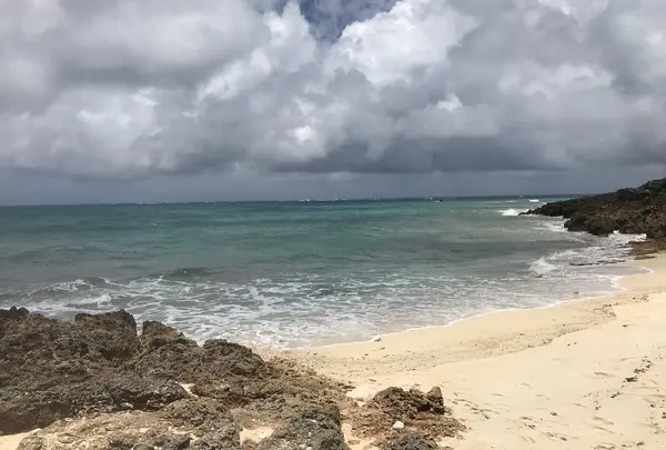 来間島の写真・動画_image_331977