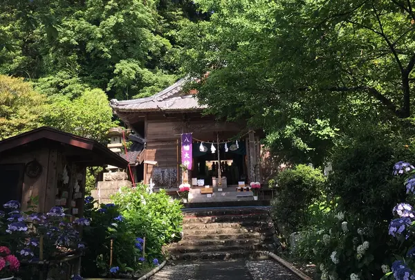 六條八幡宮の写真・動画_image_332131