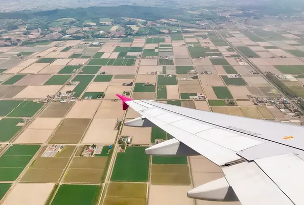 新千歳空港の写真・動画_image_332197