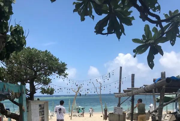 新城海岸の写真・動画_image_332317