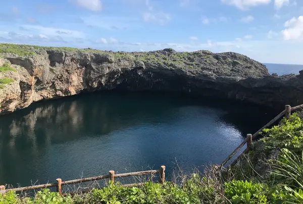 通り池の写真・動画_image_332345