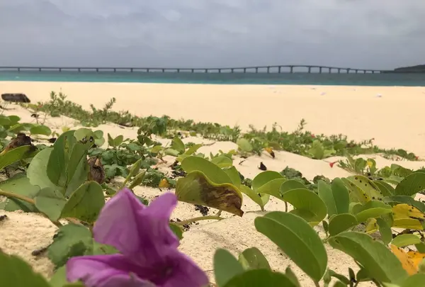 与那覇前浜ビーチ