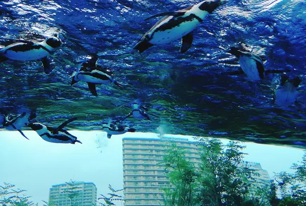 サンシャイン水族館