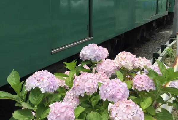鎌倉駅