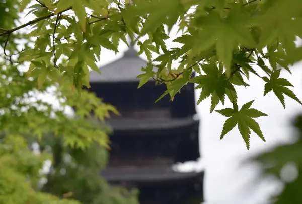 東寺（教王護国寺）